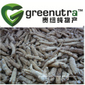 ginseng extract benefits